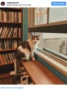 5 bookstores for cat lovers